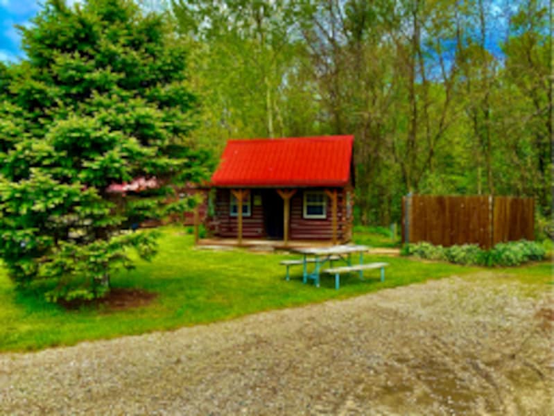Regular Cabin with Loft and Outdoor Hot Tub-1